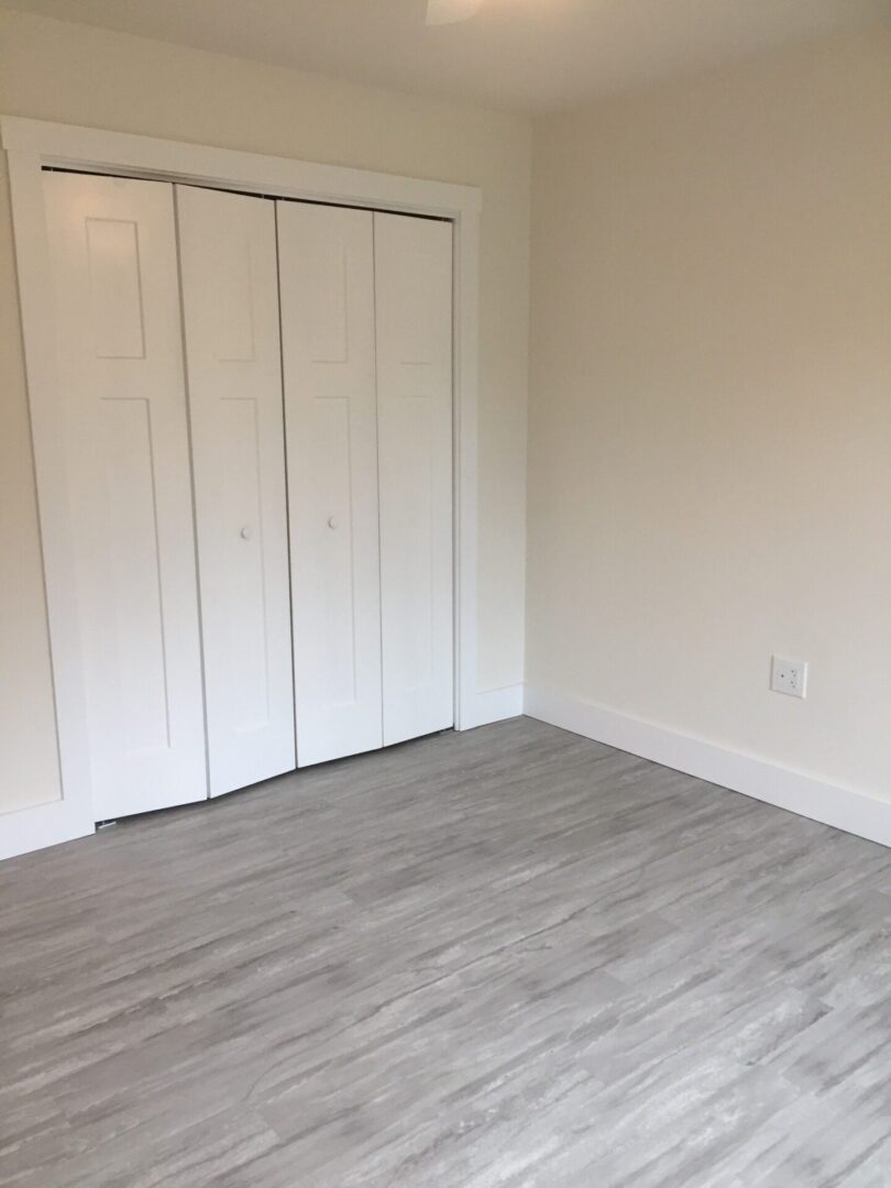 Empty bedroom with a walk-in closet
